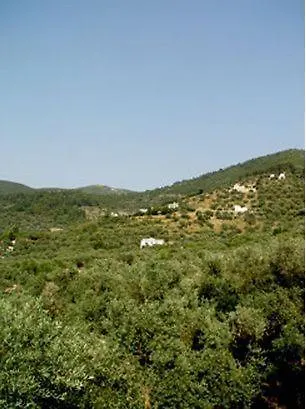 Livadi * Skopelos